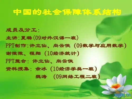 中国社会保障体系结构(第一组)