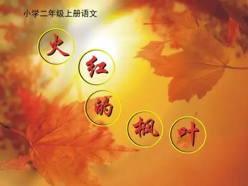 张月爱二年级语文 火红的枫叶课件