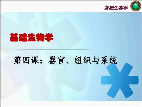 器官组织与系统