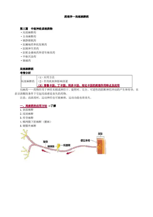 药理学—局部麻醉药