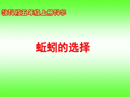 教科版五年级科学上册《蚯蚓的选择》_ ppt课件