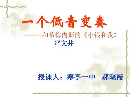 一个低音变奏