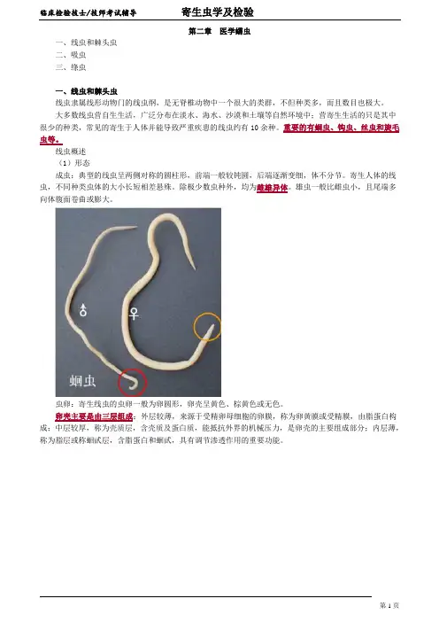 临床检验技士-寄生虫学及检验 讲义 02