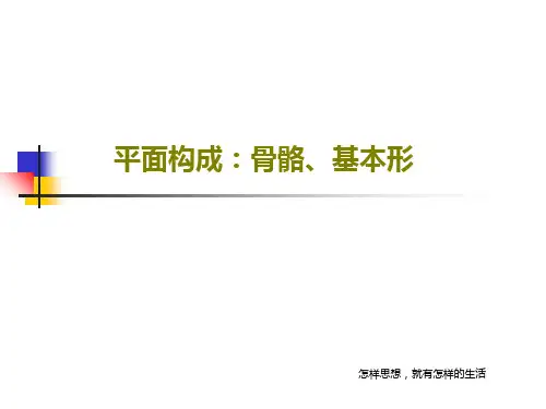 平面构成：骨骼、基本形53页PPT