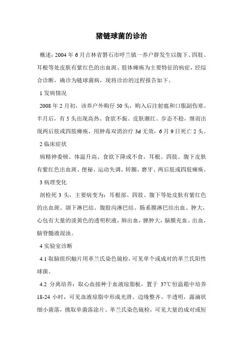 猪链球菌的诊治.doc