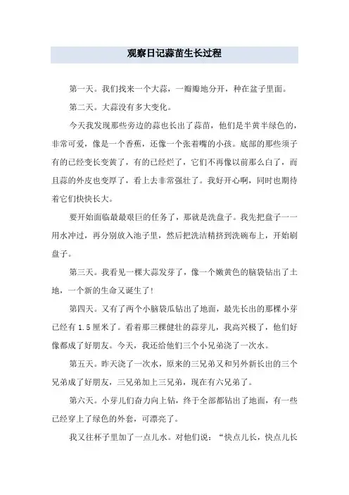 观察日记蒜苗生长过程