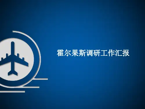 霍尔果斯调研汇报