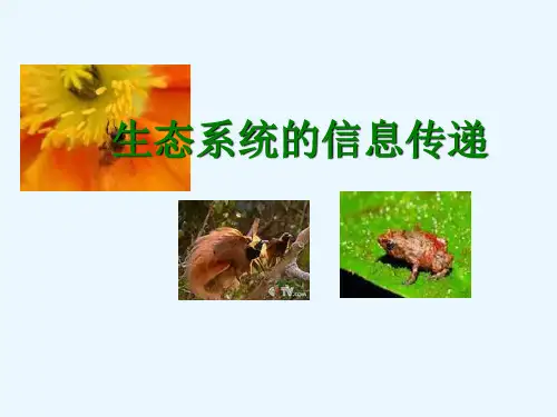 生态系统的信息传递