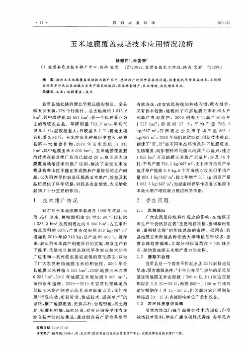 玉米地膜覆盖栽培技术应用情况浅析