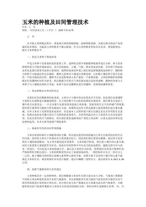 玉米的种植及田间管理技术