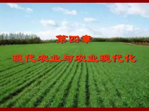 农经第四章农业现代化讲稿
