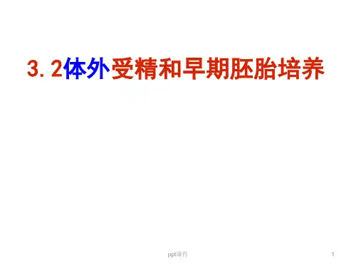 体外受精和早期胚胎发育ppt课件