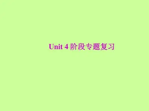 Unit 4 专题复习课件
