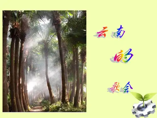 《云南的歌会》ppt课件(27页)分析