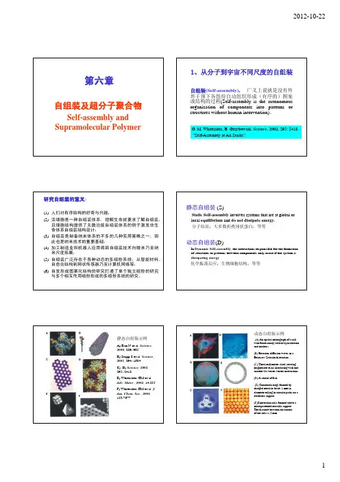 高分子超分子化学第六章