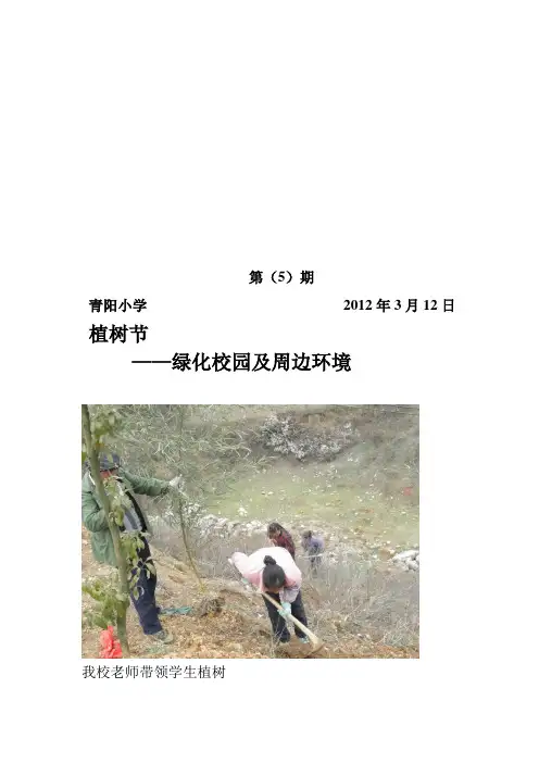 植树节活动简报 2