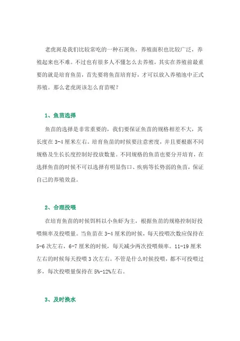 养鱼经验：老虎斑的育苗技术
