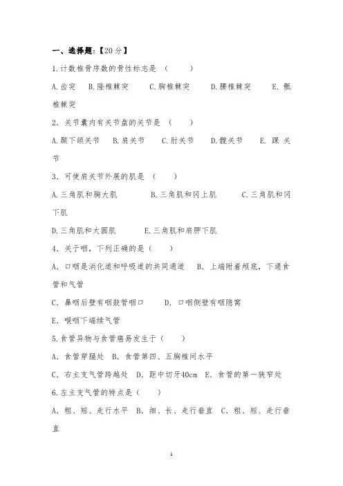 人体解剖学复习题及答案 3