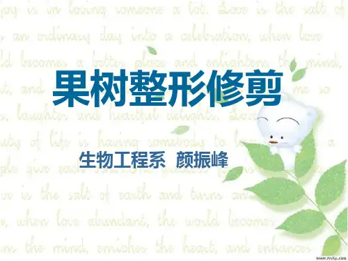 果树整形修剪