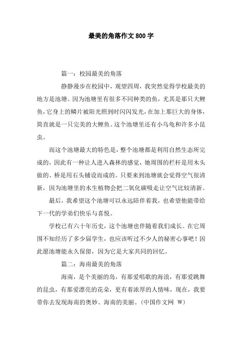 最美的角落作文800字