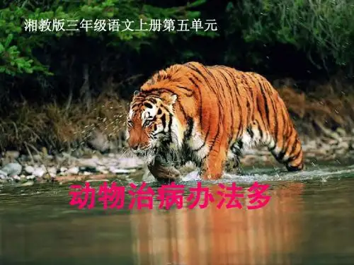 三年级语文上册 动物治病办法多课件 湘教版
