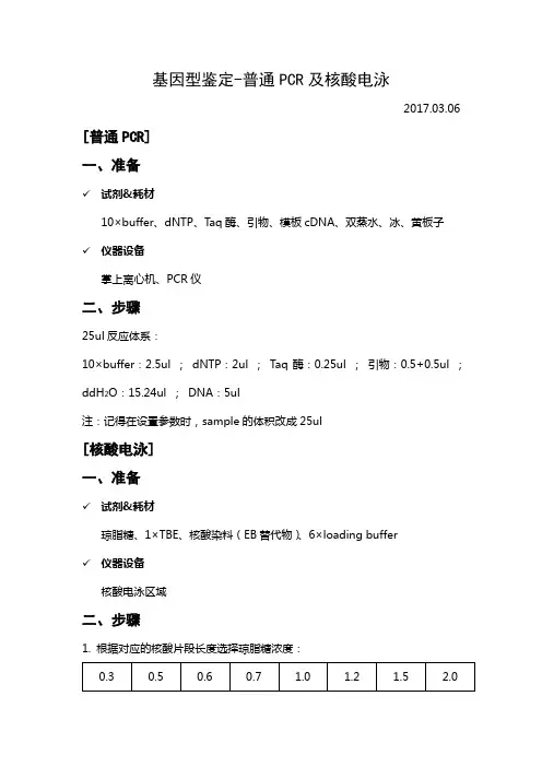 基因型鉴定-普通PCR及核酸电泳-20170306
