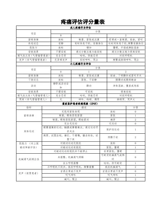 疼痛评估量表