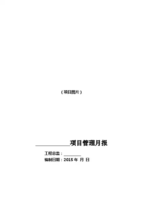 XX项目工程管理月报