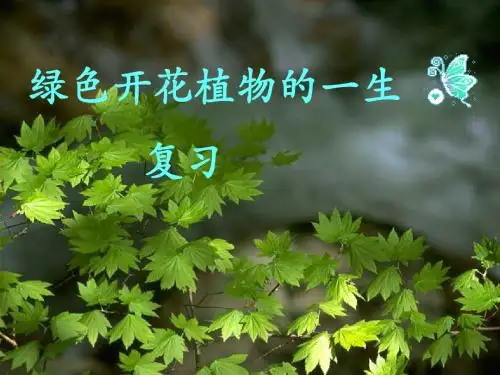 八年级生物上册第四单元第一章绿色开花植物的一生复习课件济南版