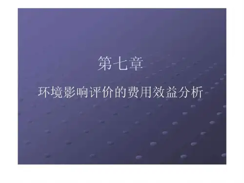环境影响评价的费用效益分析.ppt