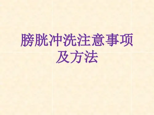 膀胱冲洗技术 PPT课件