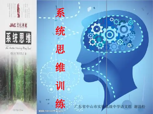 系统思维训练