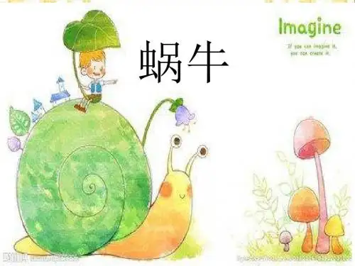 (教科版)三年级科学上册《蜗牛》-课件1