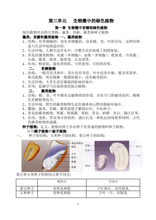 第三单元   生物圈中的绿色植物复习提纲