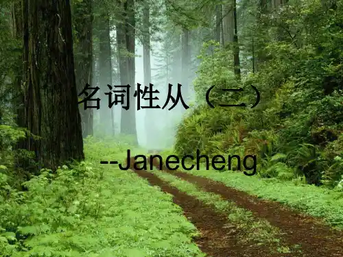 名词性从句(二)