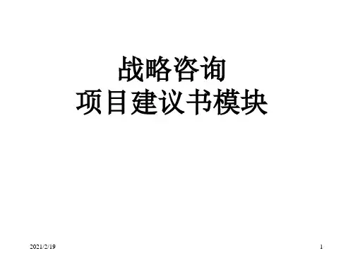 战略咨询项目建议书模块讲义.pptx