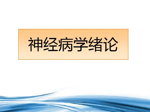 神经病学绪论