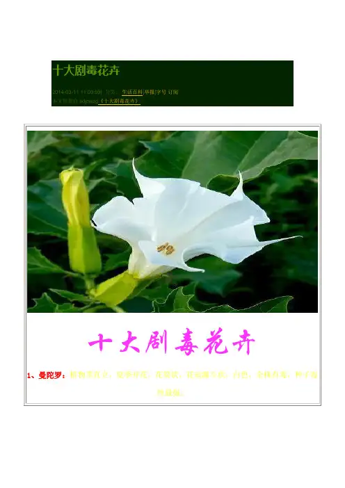 世界上最毒的十大花