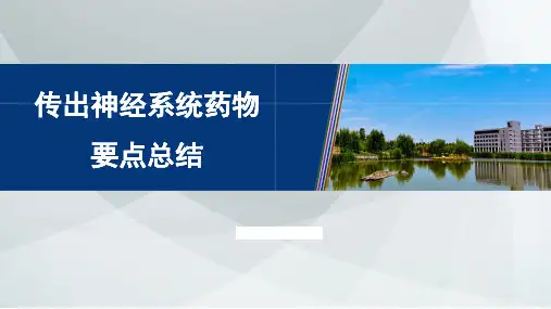 传出神经系统药物要点总结