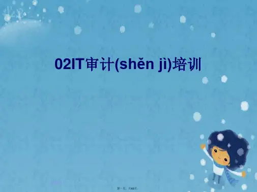 02IT审计培训