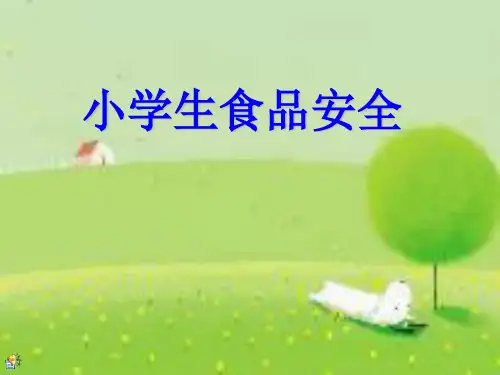 小学生食品安全PPT