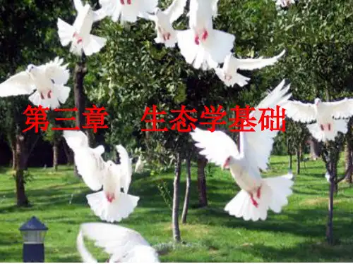第三章 生态学基础