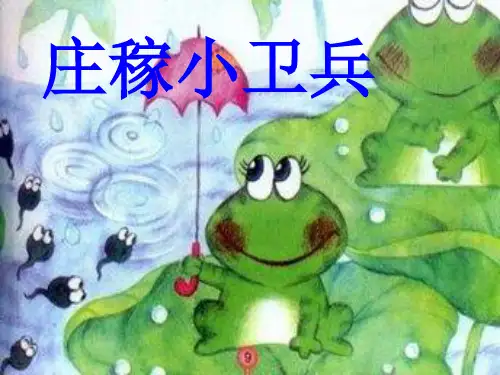庄稼小卫兵PPT课件