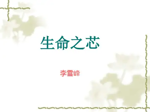 生命之芯