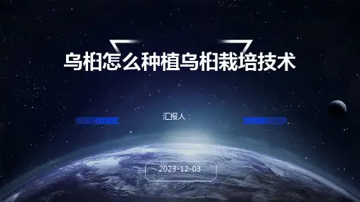 乌桕怎么种植乌桕栽培技术