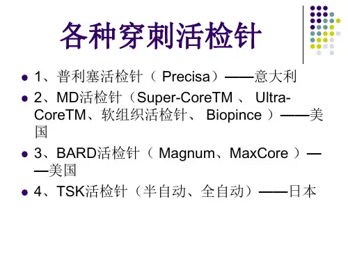各种穿刺活检针. 共15页