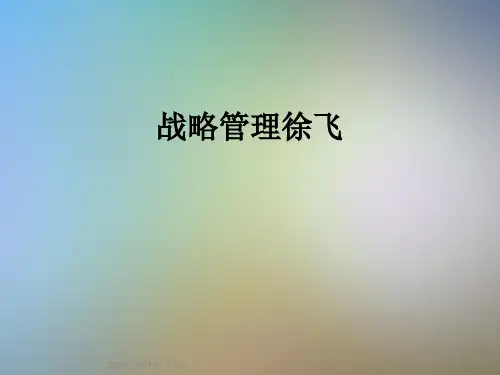 战略管理徐飞