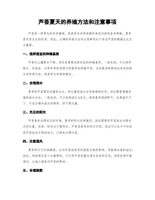 芦荟夏天的养殖方法和注意事项