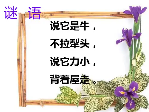 《蜗牛》ppt课件