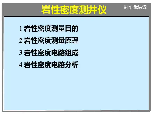 12岩性密度测井